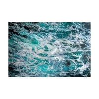 Търговска марка изящно изкуство 'океан прегръдка номер 7' платно изкуство от Лин Дугла